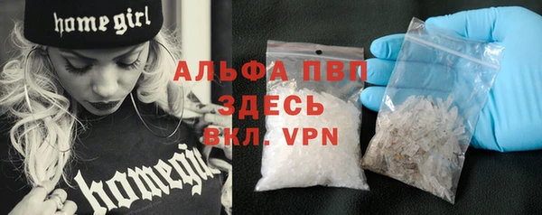 стафф Заволжск