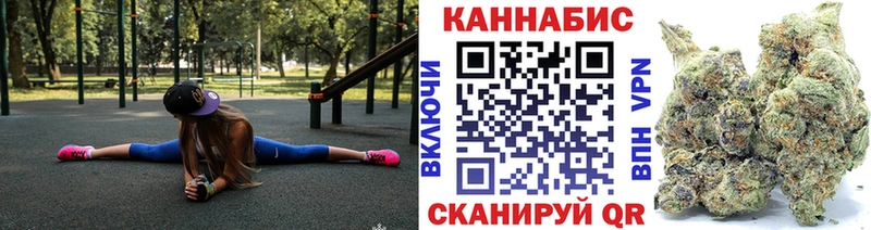 где купить наркотик  Каменногорск  Бошки марихуана гибрид 